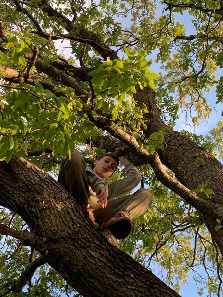 a man sitting on top of a tree branch