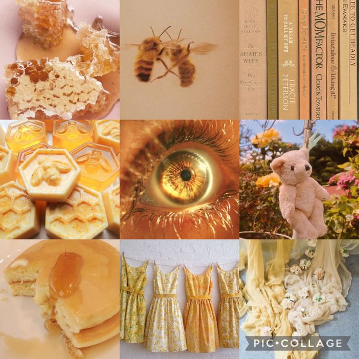 the collage is filled with images of bees, honeycombs and other things