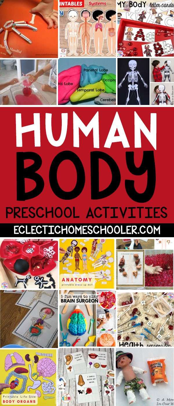 the book cover for human body preschool activities with pictures of people and objects in different colors