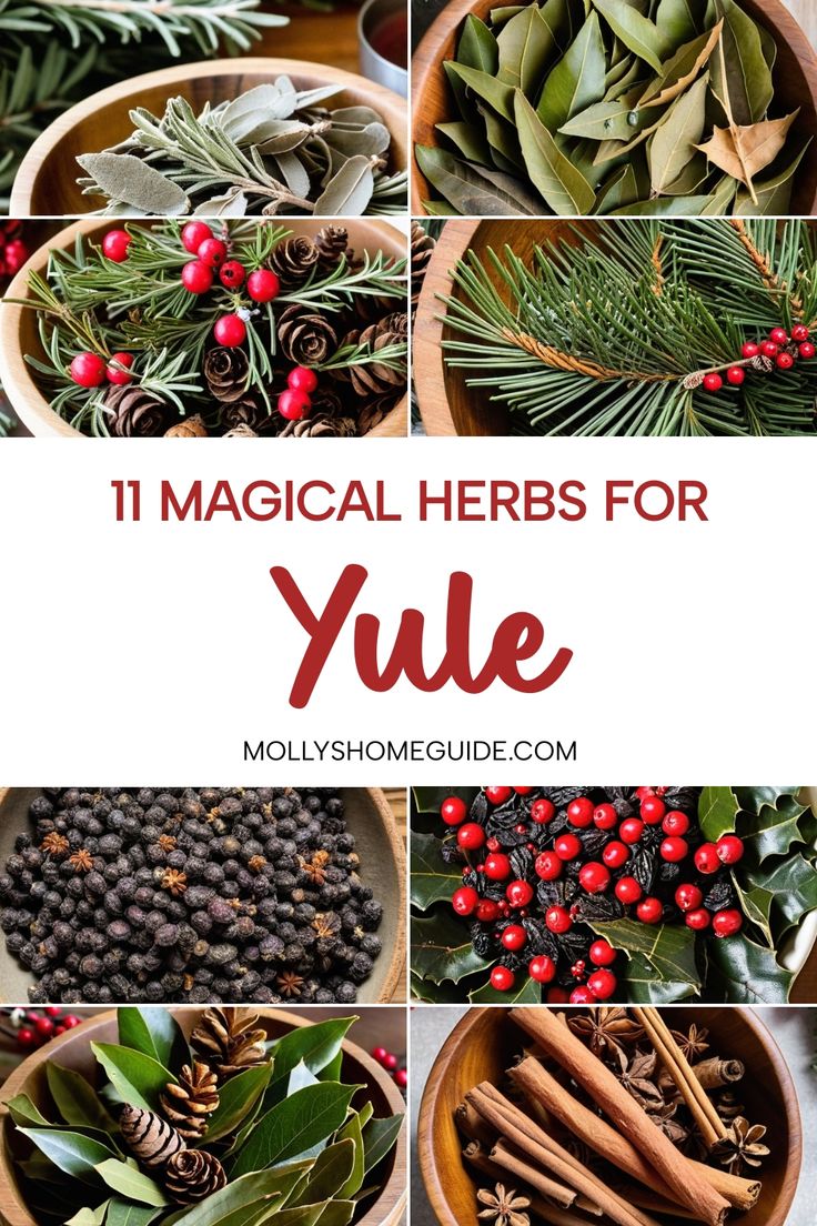 twelve images with the words 11 magic herbs for yule