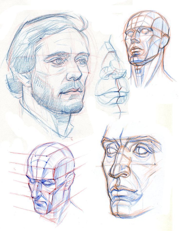 a bunch of different types of head sketches