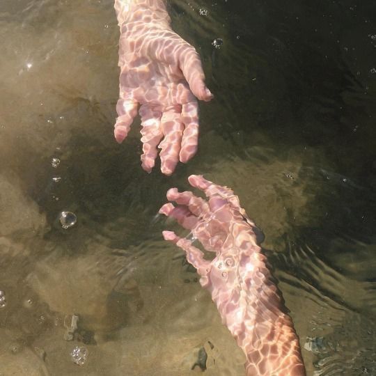 two hands reaching for something in the water