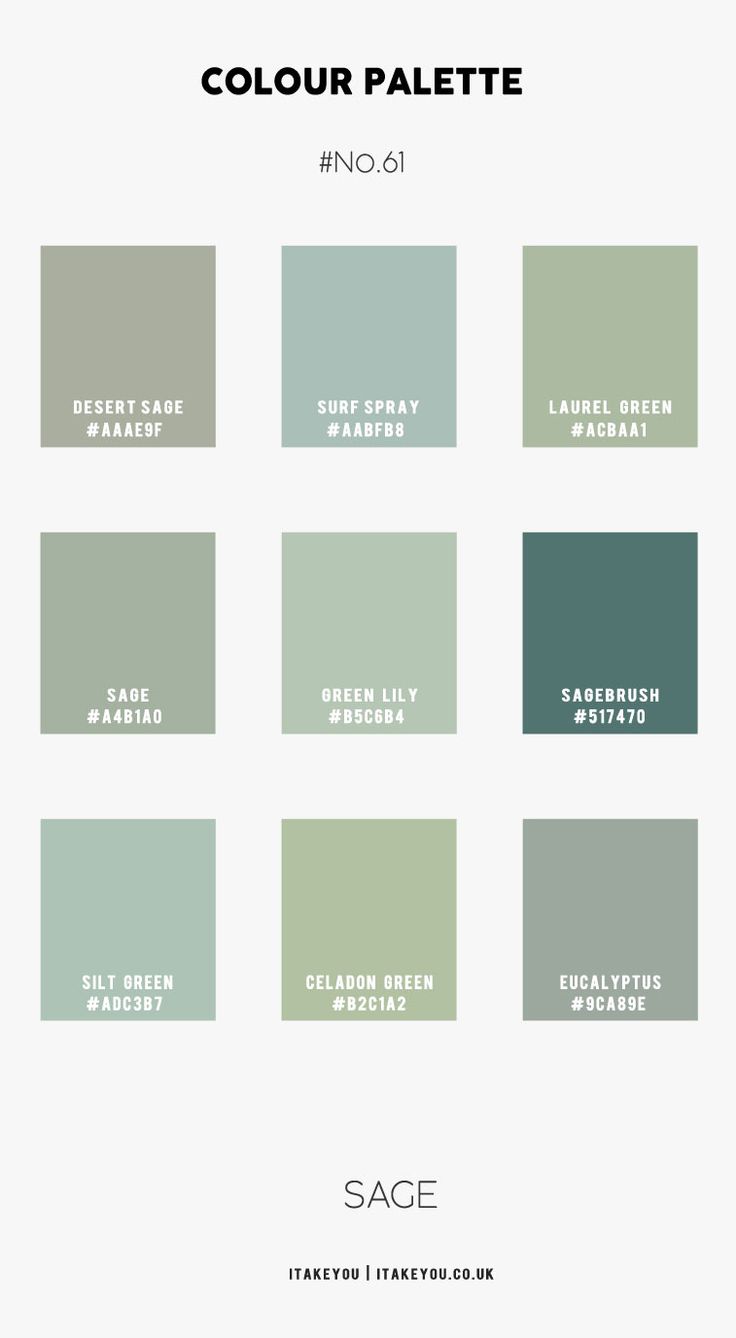 the color palette for sage green