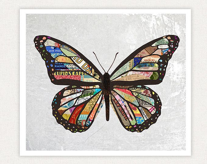 a colorful butterfly on a white brick wall