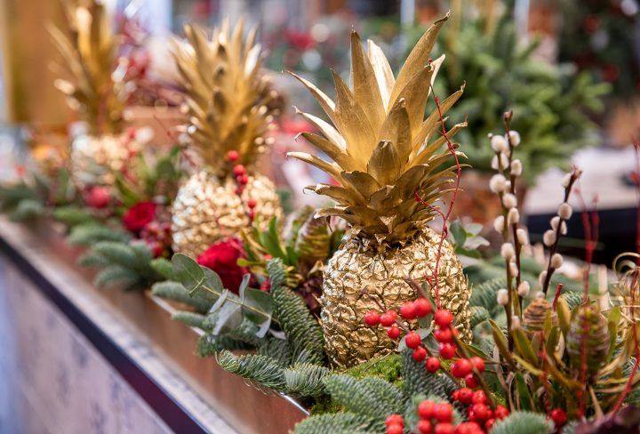 pineapples and other plants are lined up on a table