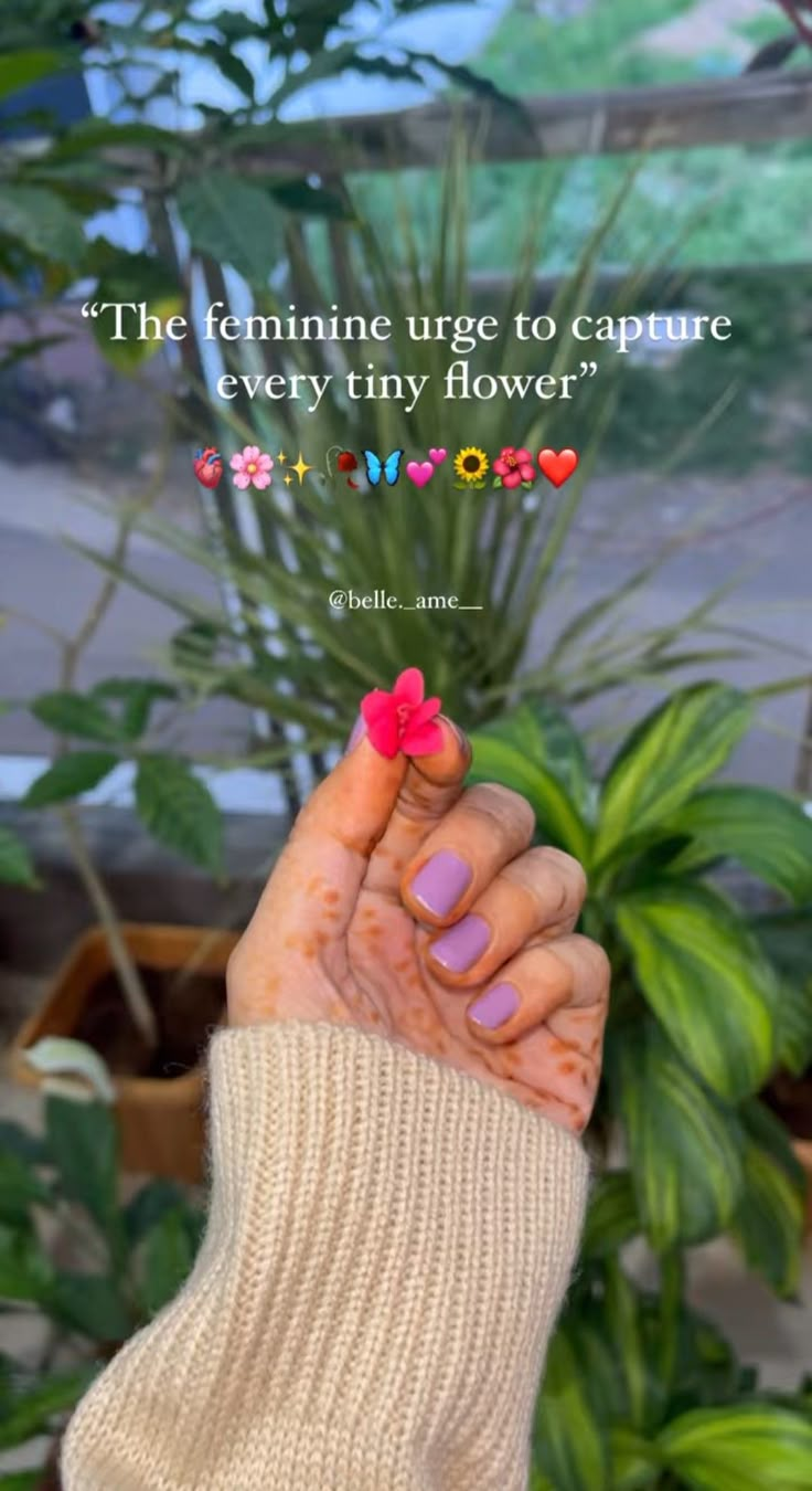 a woman's hand holding a pink flower in front of a potted plant