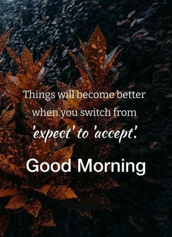 the words good morning are written in black and orange on a dark background with leaves