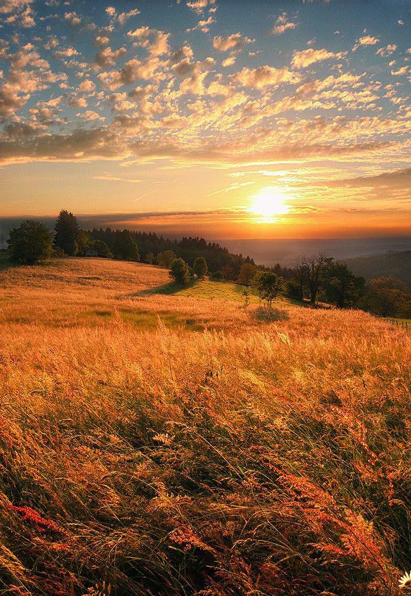 the sun is setting over a grassy hill