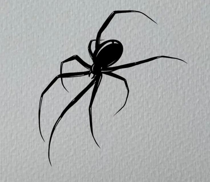 a black and white drawing of a spider