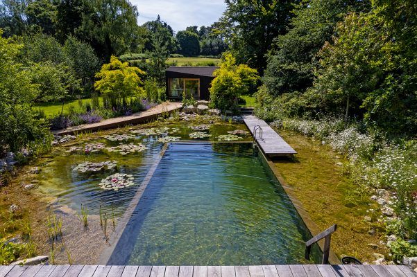 an outdoor swimming pool surrounded by trees and water lilies in the middle of it