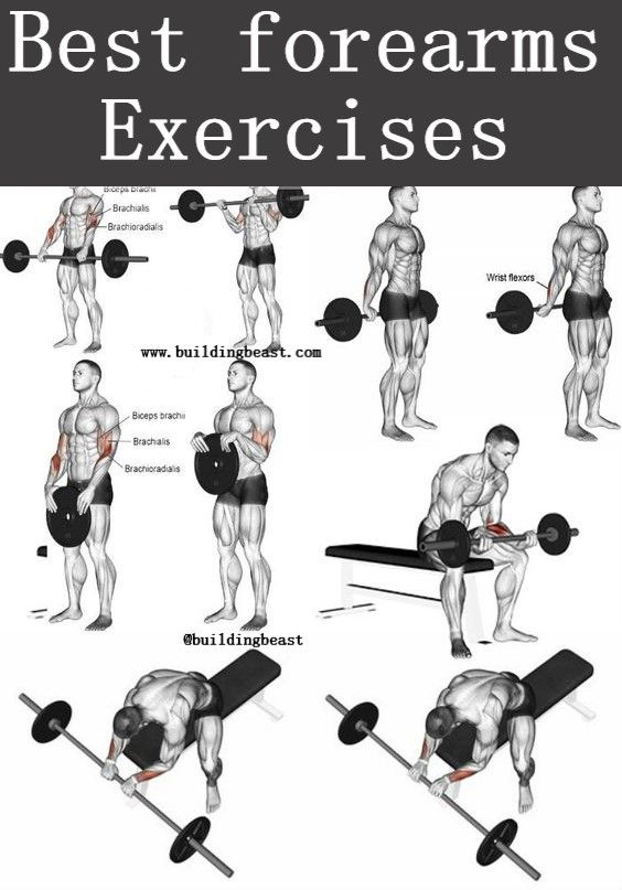 the best exercises to do for your chest and back, including bench presss or barbell curls