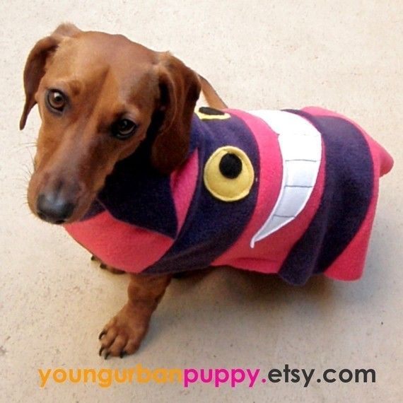 a brown dog wearing a pink and purple shirt with eyeballs on it's chest