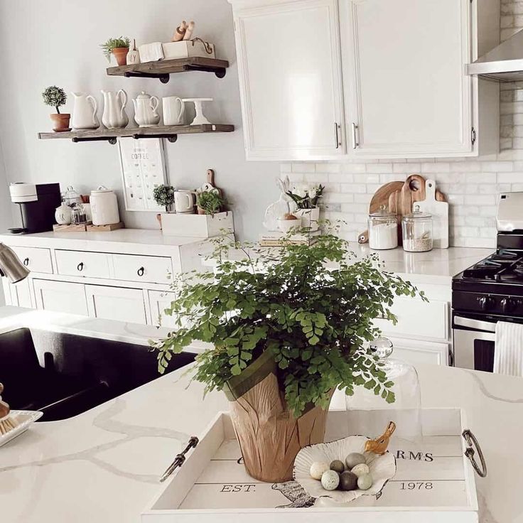 An elegant kitchen with white cabinets and a white quartz countertop is paired with a white subway tile backsplash. Warm wood floating shelves mounted on a white wall adorned with greenery and ceramic accents utilize vertical space. Bright natural light fills the room and a cheerful potted fern in a white tray is accented with assorted eggs is an attractive contrast...   Image: roxysvida White Kitchen Peninsula, White Cabinet Kitchen, Grey Granite Countertops, Gray Subway Tile Backsplash, White Marble Backsplash, Backsplash Kitchen White Cabinets, Warm Wood Flooring, Beautiful Backsplash, White Subway Tile Backsplash