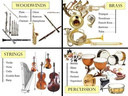 four different types of musical instruments are shown in this graphic above it is an illustration of the parts of a musical instrument