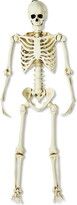 a skeleton is standing with its arms and legs spread out to show the lower body