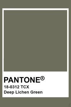 the pantone color is shown in this image