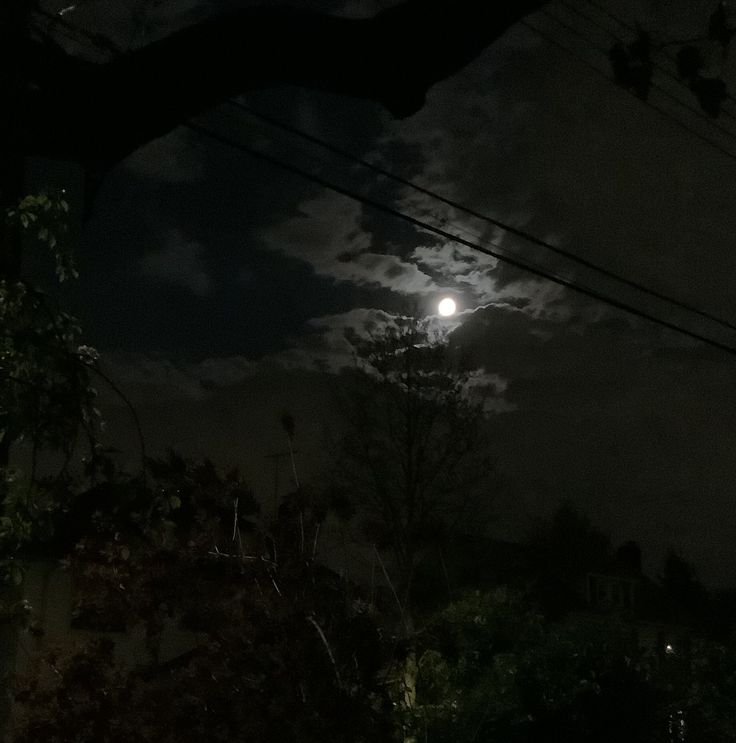 the full moon shines brightly in the night sky over some trees and power lines