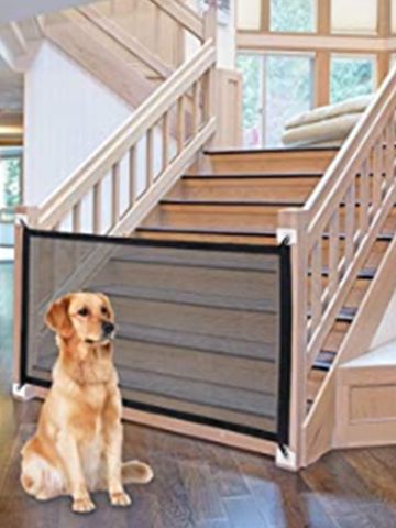 a dog sitting on the floor in front of a stair gate with text overlay reading magic mesh pet gate