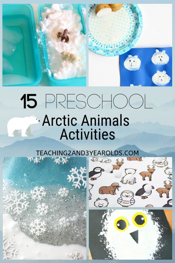 an assortment of arctic animals and snowflakes with text overlay that reads 15 preschool arctic animals activities