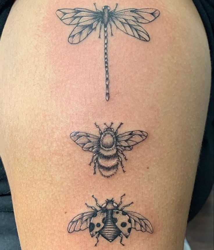 three insect tattoos on the back of a woman's thigh, each with a lady bug