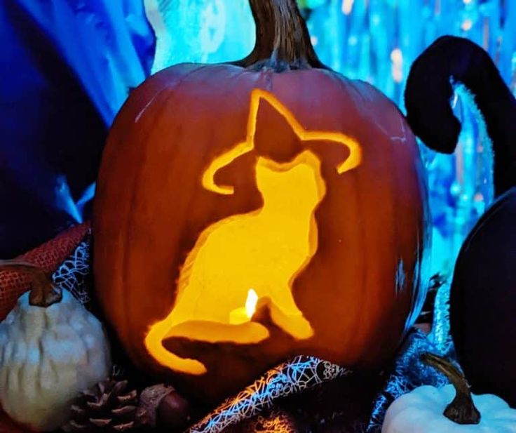 a carved pumpkin with a cat on it