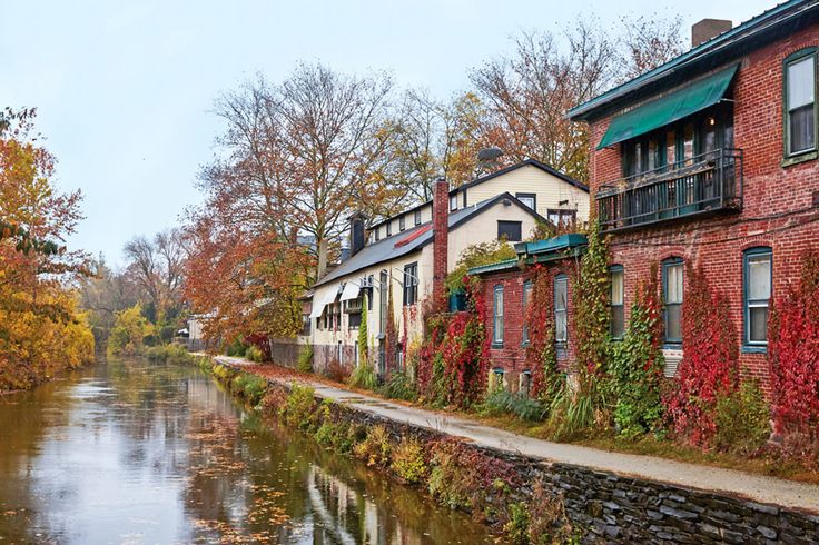 a river running through a lush green forest next to tall brick buildings