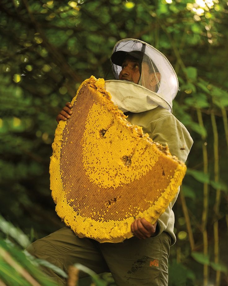 a man holding a beehive in front of his face and wearing a protective mask