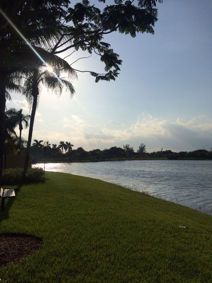 the sun shines brightly through some palm trees next to a body of water with grass on both sides