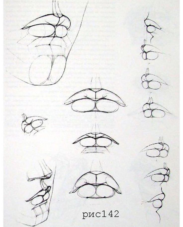 a drawing of different types of lips