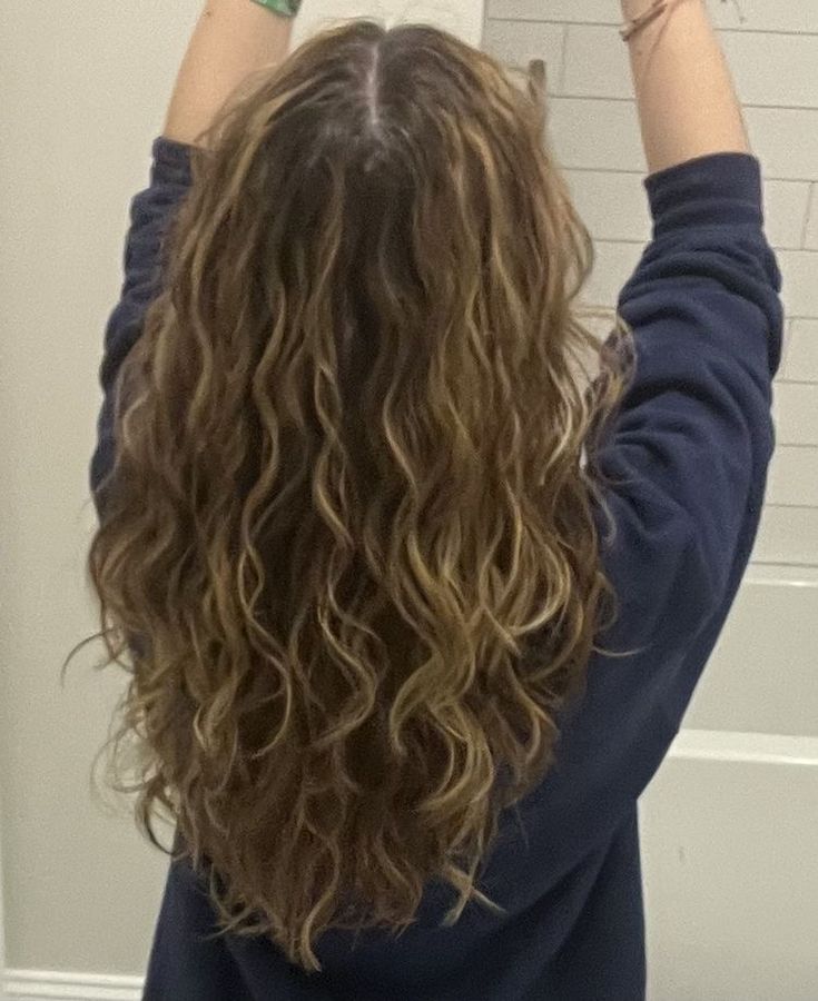 Pelo Ondulado Natural, Naturally Wavy Hair Cuts, Brown Wavy Hair, Natural Curly Hair Cuts, Vacation Hairstyles, Thick Wavy Hair, Curly Hair Photos, Braid Hairstyle, Wavy Haircuts