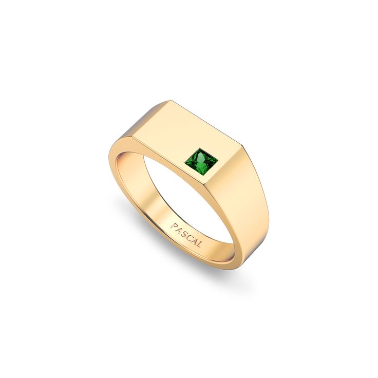 Adorned with a princess-cut lab-grown gemstone, this ring offers a choice of colors. Set within the classic rectangular Signet ring design, it's a timeless accessory suitable for any occasion.This ring is available with both polished and brushed finishes, allowing you to choose your preferred style. The meticulous detailing amplifies its vintage charm, making it a timeless collection. 18k Gold Vermeil: With its substantial layer of 18k solid gold on sterling silver, 18k Gold Vermeil is not the t Formal Rectangular Emerald Ring With Polished Finish, Anniversary Signet Ring With Rectangular Gemstone, Timeless Yellow Gold Jewelry With Rectangular Stone, Luxury Emerald Ring In Rectangular Shape, Luxury Emerald Rectangular Ring, Luxury Emerald Ring With Rectangular Shape, Modern May Birthstone Baguette Cut Jewelry, Elegant Green Rectangular Signet Ring, Modern Emerald Ring With Rectangular Stone For Formal