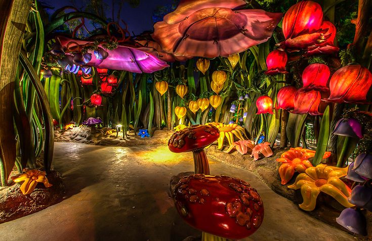 an image of a very colorful garden at night