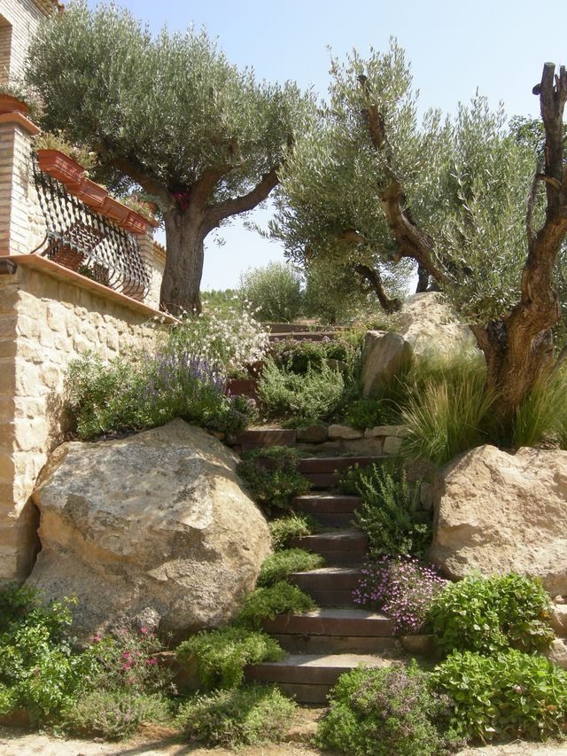 an outdoor garden with stone steps and trees