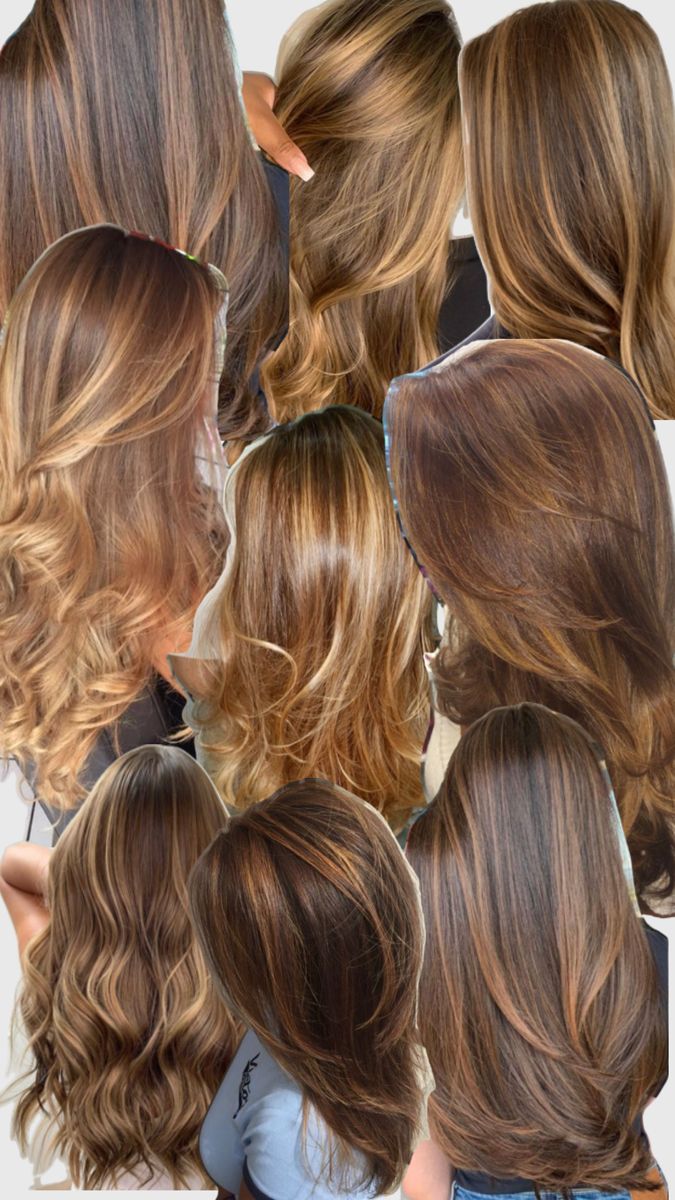 Warm Brown Hair With Highlights Honey, 90s Caramel Hair, Honey Color Highlights Brunettes, Brown With Blonde Highlights Natural Hair, Multi Highlights Brown Hair, Hair Color For Honey Eyes, Hilights On Brunettes, Natural Hair Coloring Ideas, 90s Blonde Highlights On Brown Hair