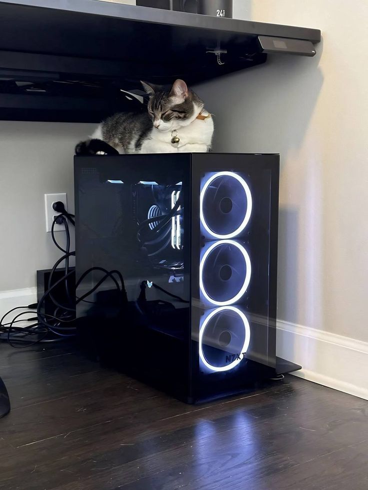 a cat is sitting on top of a computer case with speakers in front of it