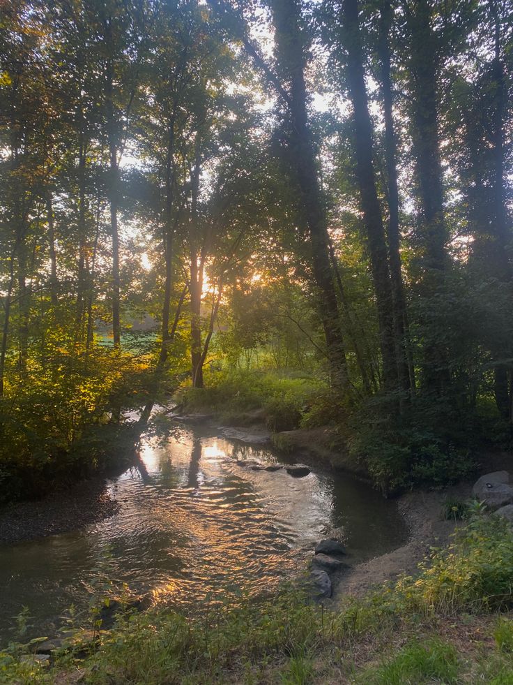 love taking a walk through the forest and just being able to take a moment to enjoy this view<3 Taman Vintage, Taman Air, Image Nature, Pretty Landscapes, Cottage Core Aesthetic, Nature Tattoos, Natural Beauty Tips, Alam Yang Indah, Nature Aesthetic