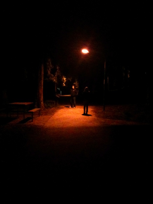 two people standing in the dark under a street light at night with their backs turned to the camera