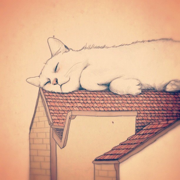 a drawing of a cat sleeping on top of a roof