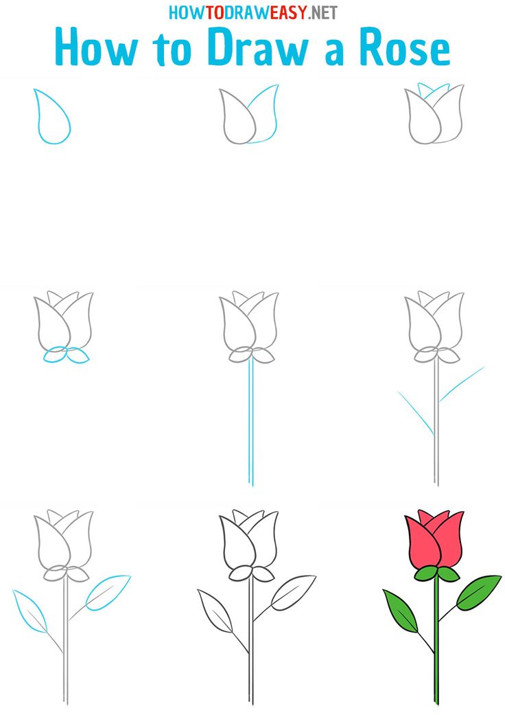 how to draw a rose step by step instructions for kids and beginners with pictures