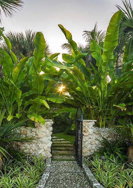 an entrance to a tropical garden with lots of trees and plants on either side of the path