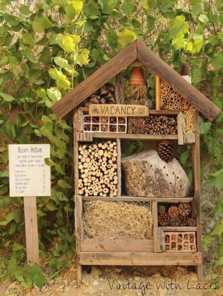 a wooden shelf filled with lots of different types of items next to a bush and sign