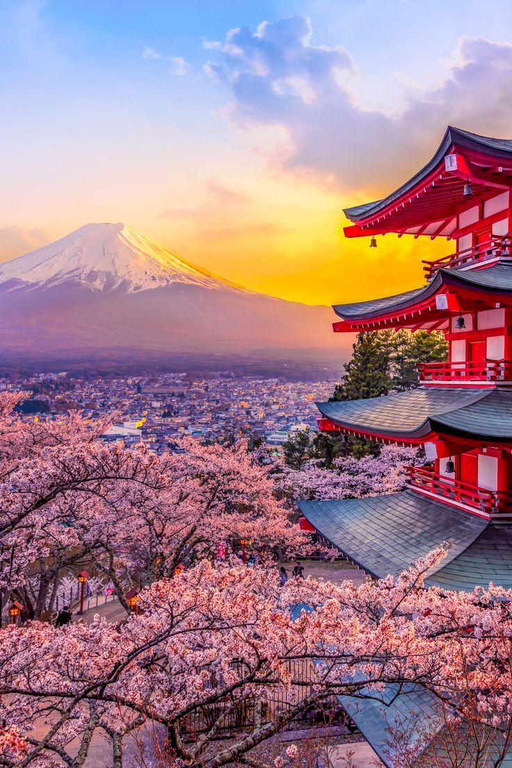 Gunung Fuji, Monte Fuji, Tokyo Japan Travel, World Cruise, Japan Landscape, Mont Fuji, Japan Aesthetic, Landscape Features, Mount Fuji