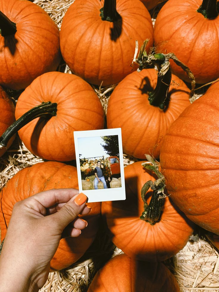 a person holding up a polaroid in front of a pile of pumpkins