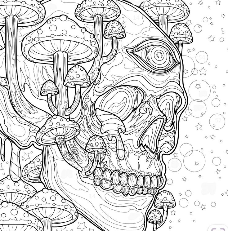 a drawing of a skull with mushrooms on it