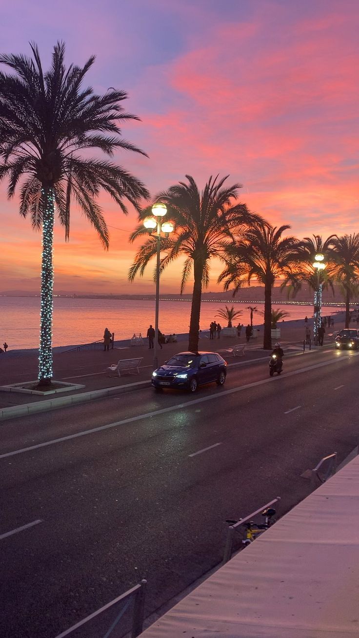 palm trees line the beach at sunset with people walking on the sidewalk and cars driving down the street