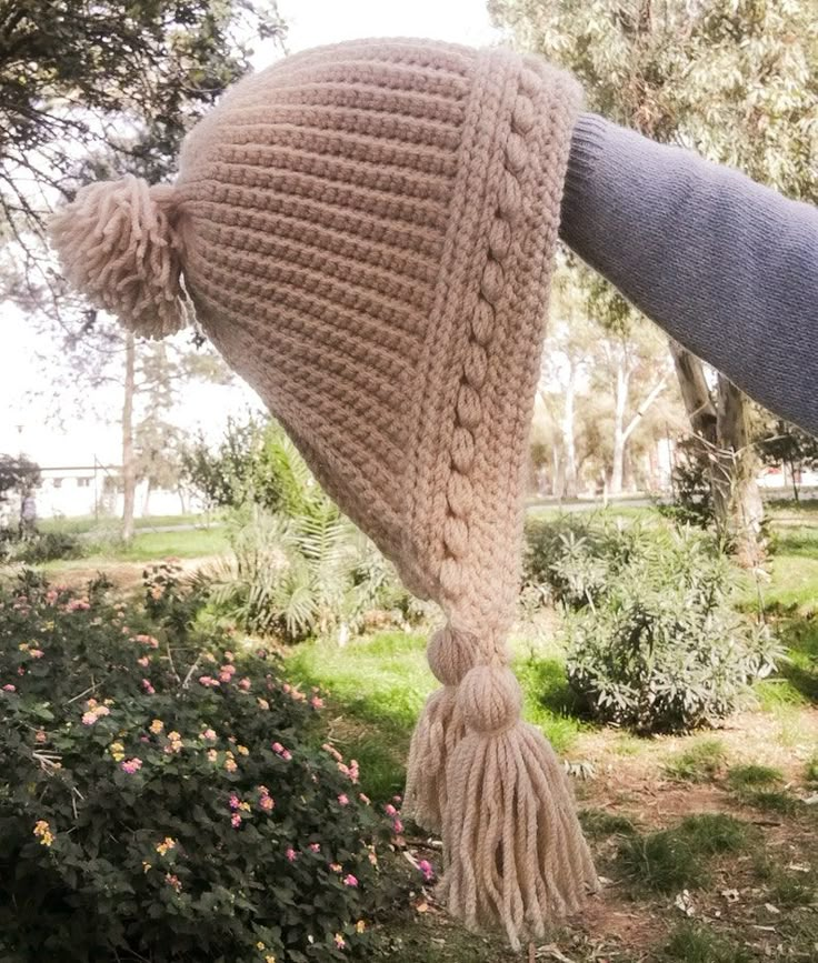 a person wearing a knitted hat with tassels hanging from it's side