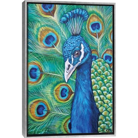 a painting of a peacock with feathers on it's back