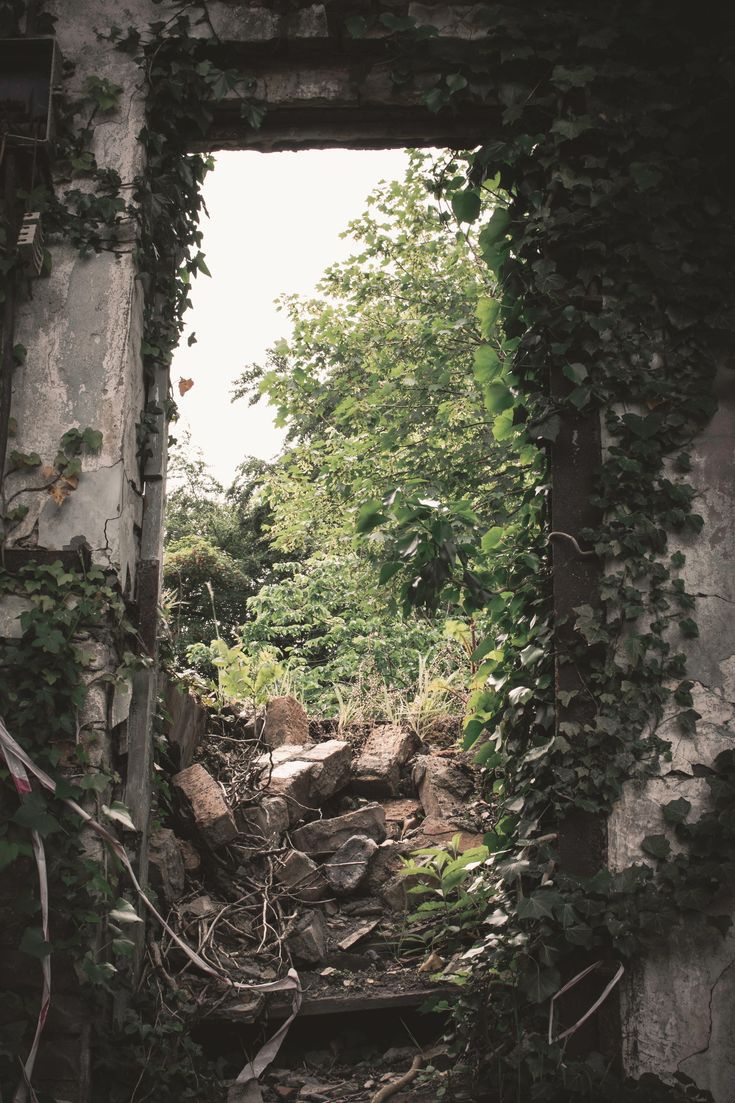 an old building with vines growing on it's walls and the entrance to a forest