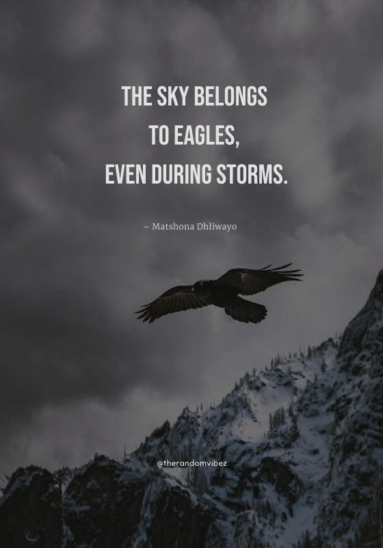 the sky belongs to eagles, even during storms