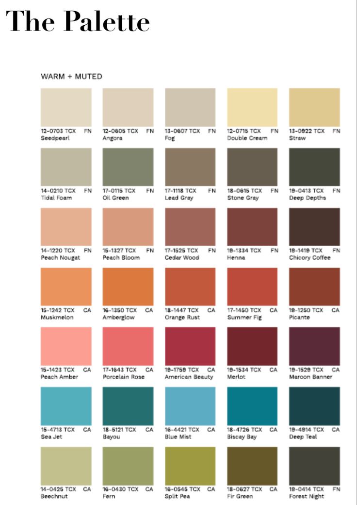 the palette color chart with different shades